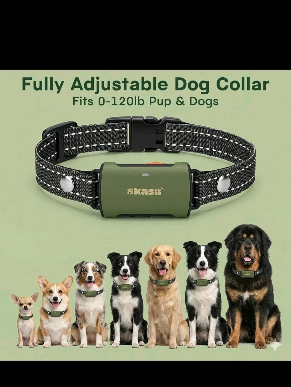 Dog Training Collar Waterproof